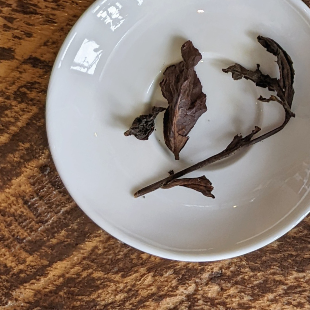 small white dish on a wood background with a brewed brown leaf of gabacha oolong showing the bud and the first four leaves