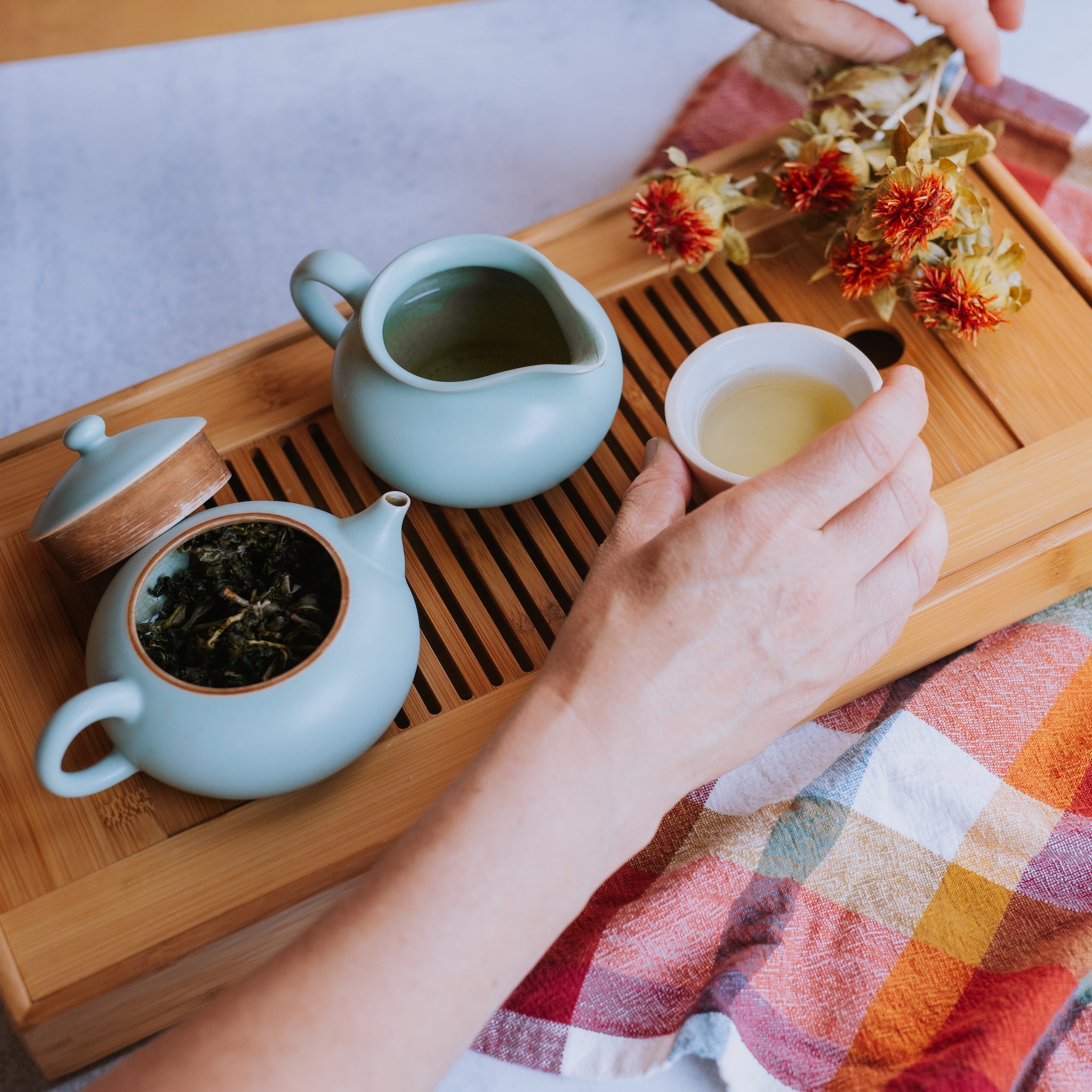 small traditional teapot with brewed taiwanese oolong, small pitcher, and hand picking up small cup of tea