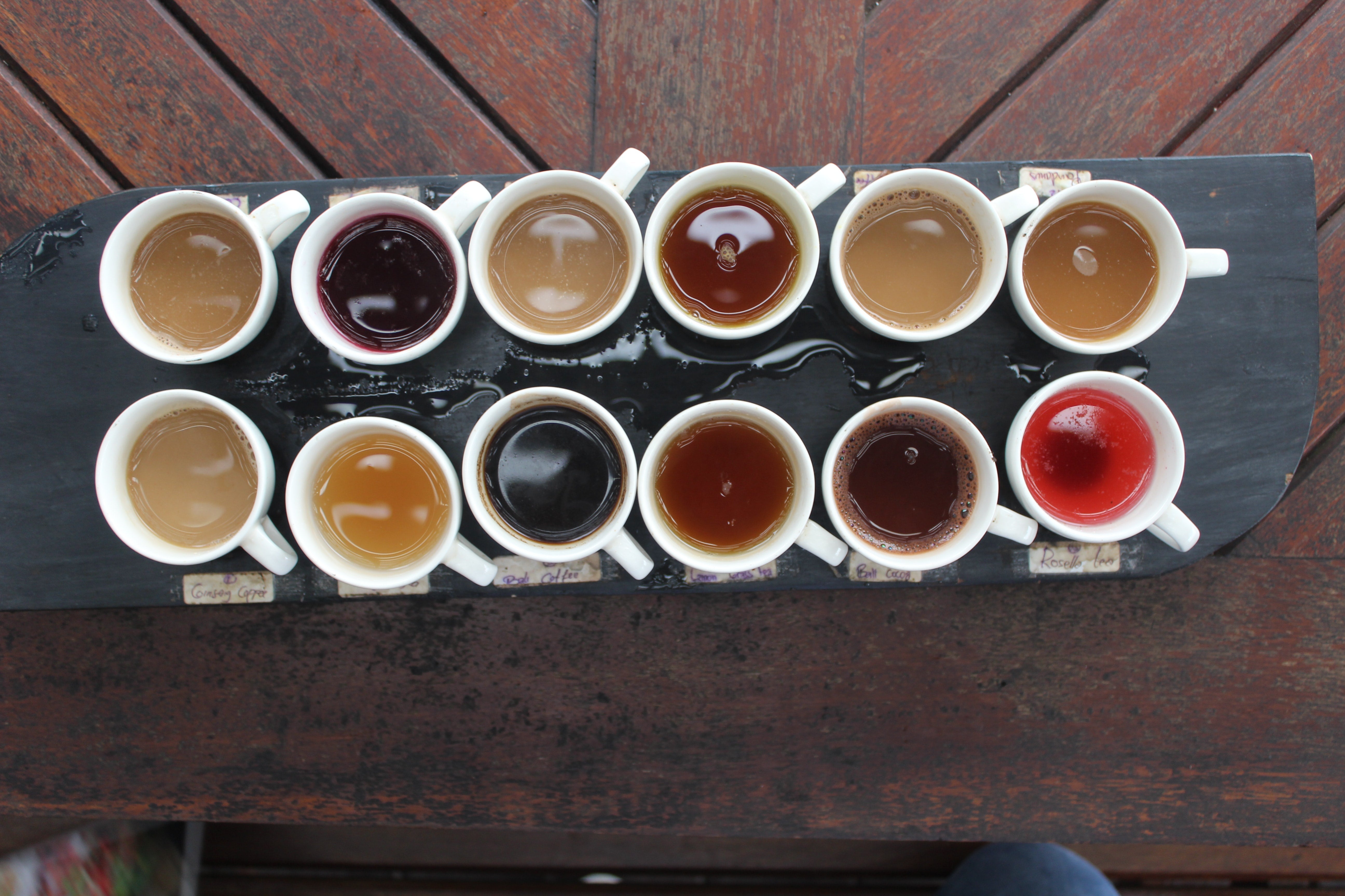 two horizontal lines of white tea tasting gaiwans filled with teas of varying colors on a red wood table background