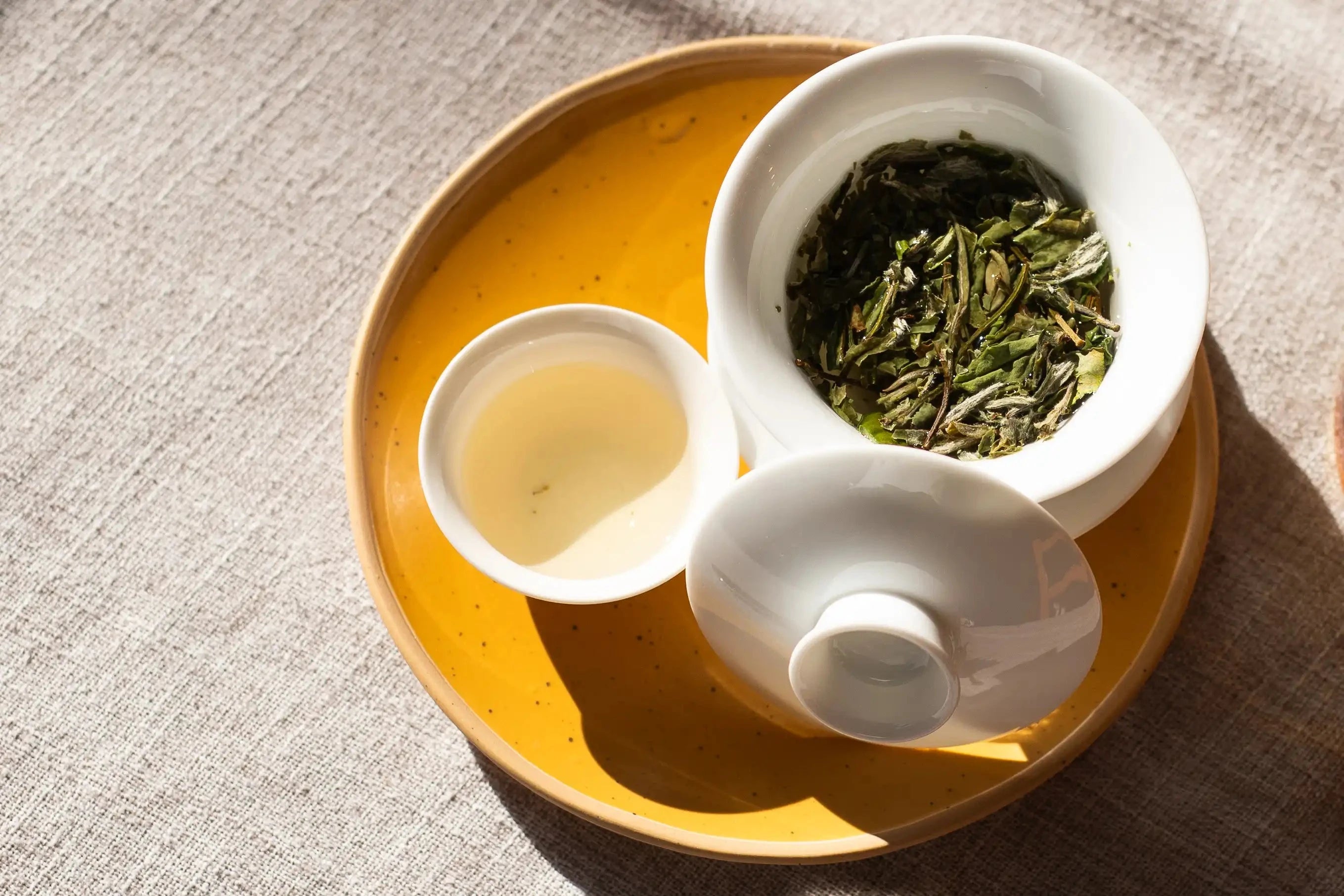 white gaiwan of bai mu dan wang white peony tea steeping