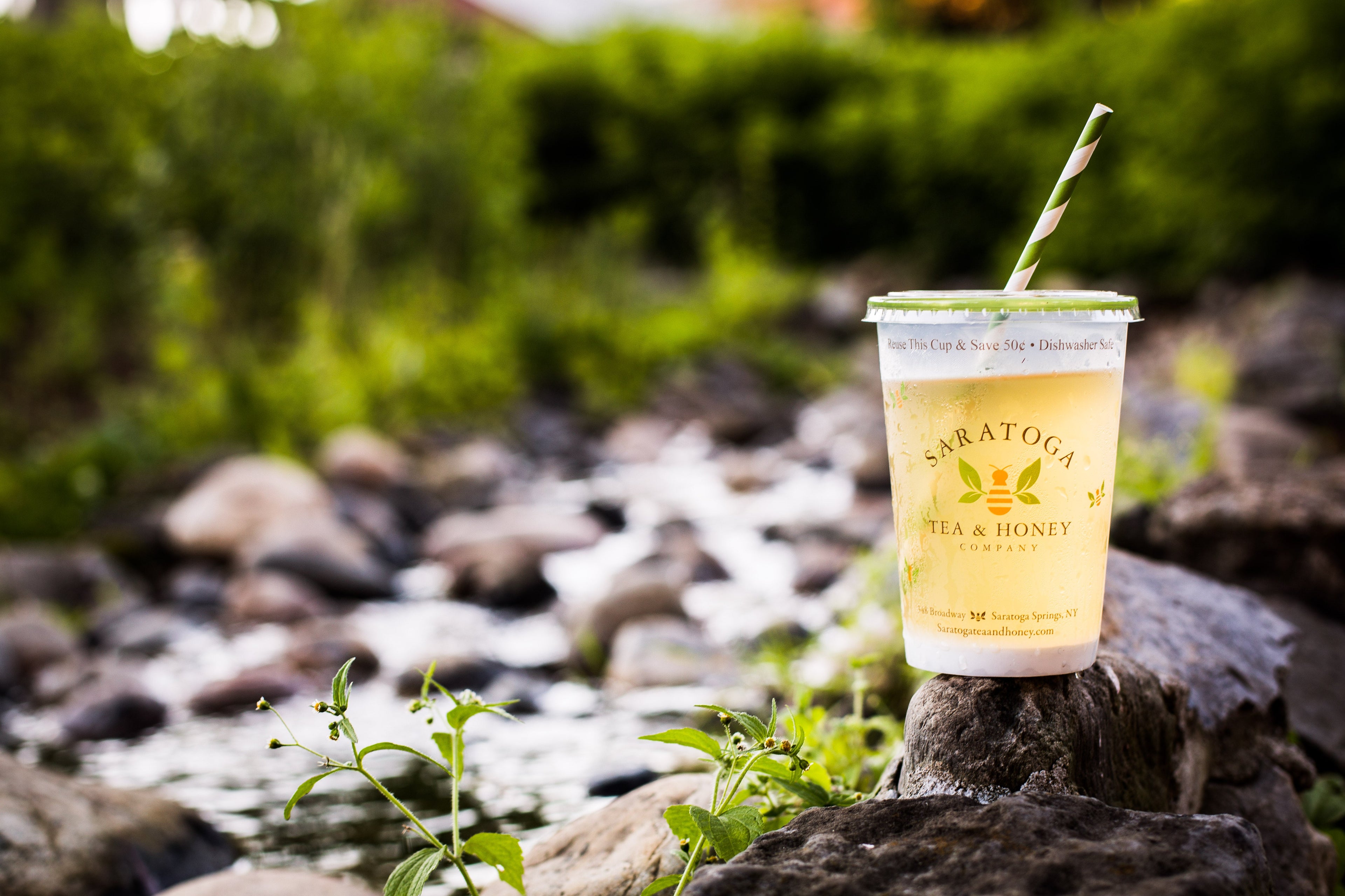 iced tea in a Saratoga Tea & Honey co cup by a stream