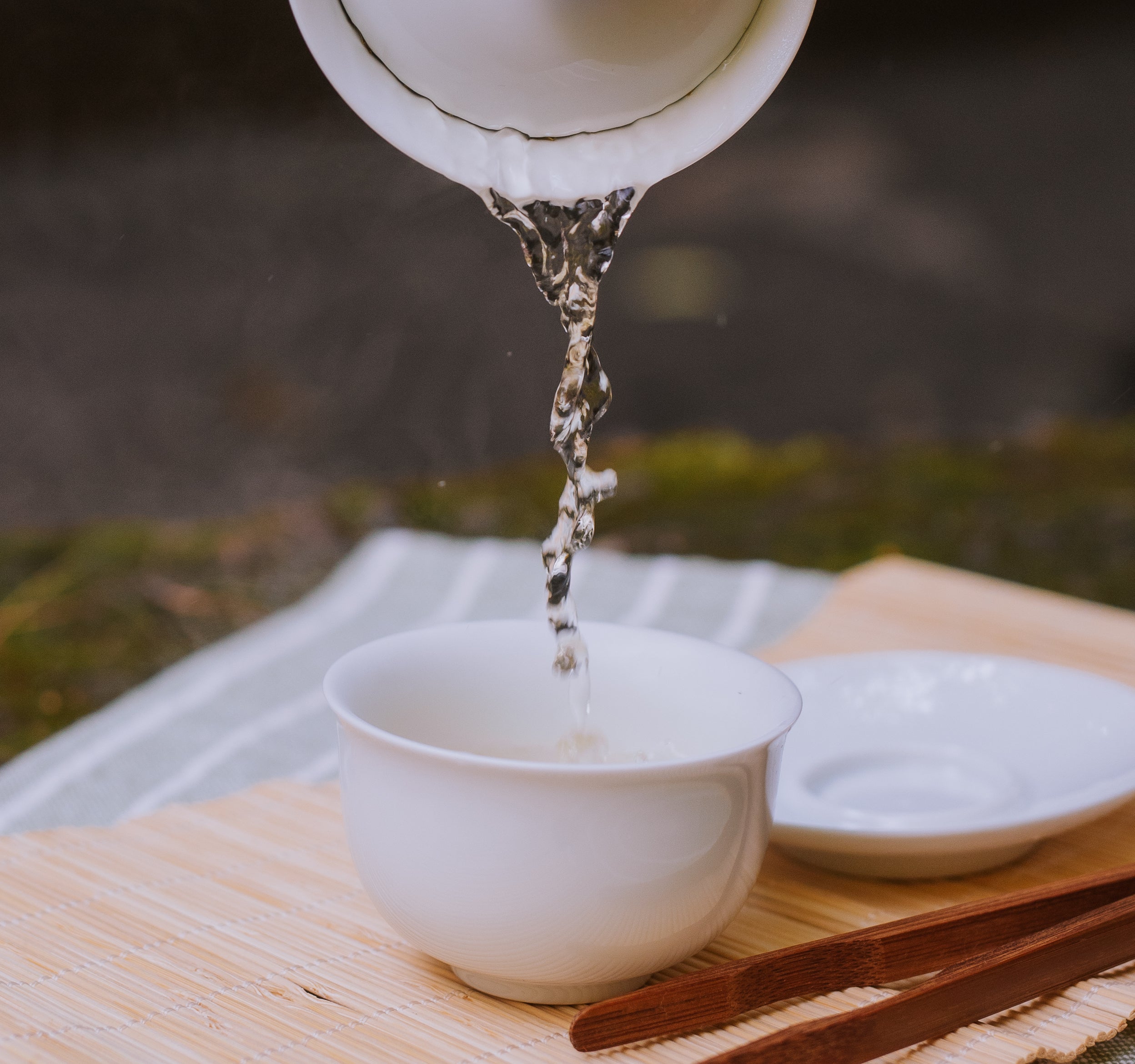 pouring tea from a white gaiwan into a cup