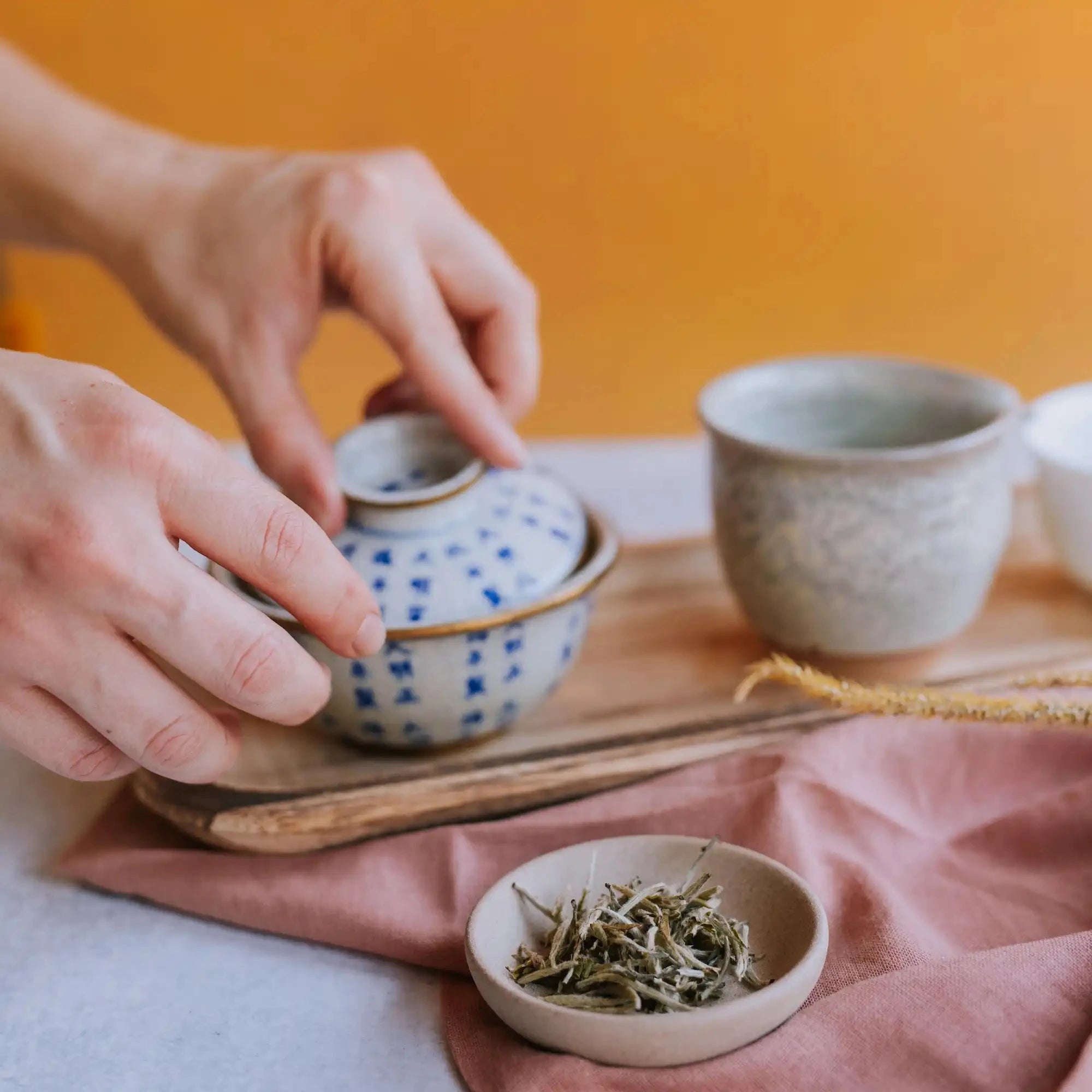 two hands adjusting gaiwan lid in preparation for brewing white tea with white tea buds in foreground