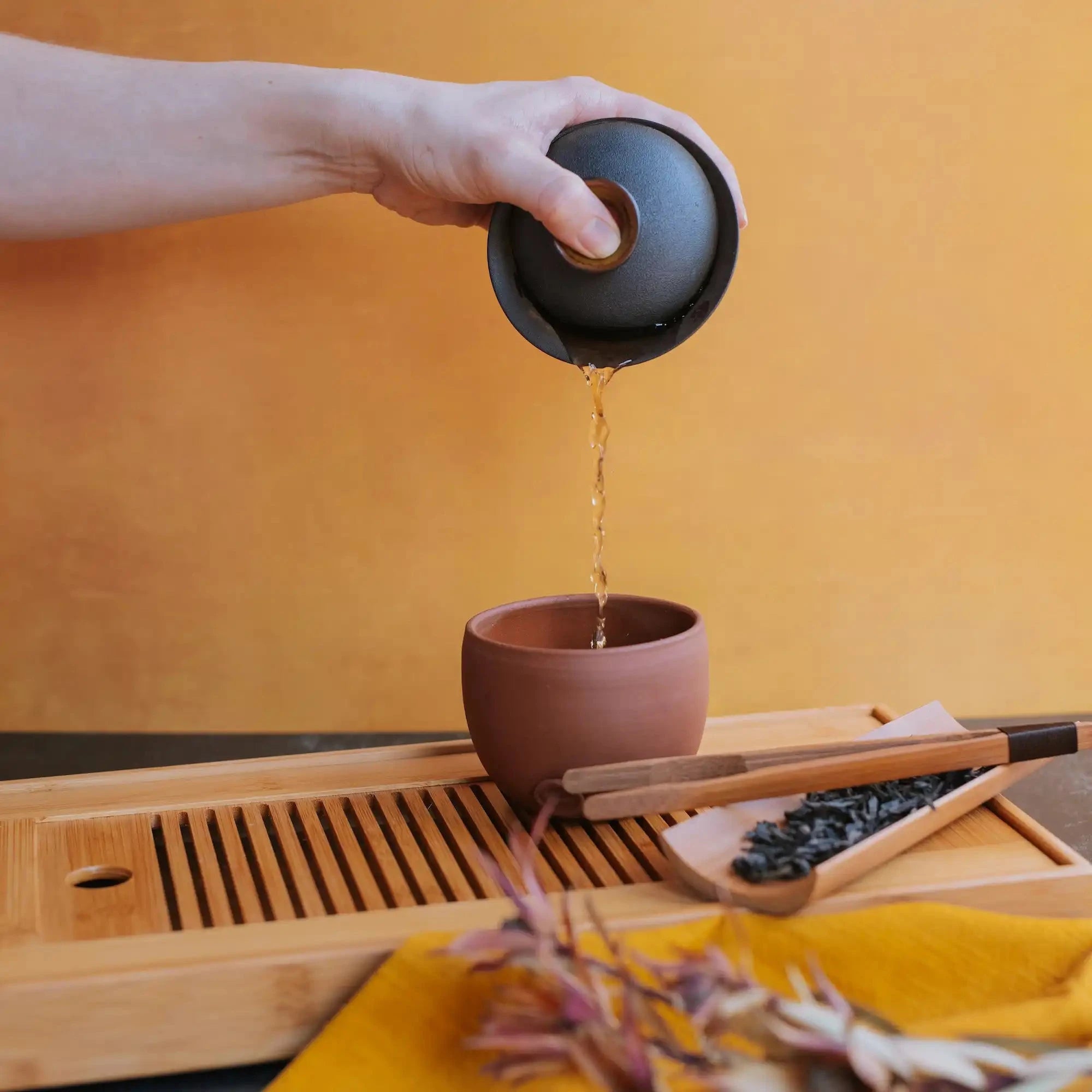 hand pouring brewed oolong from a gaiwan into a tea bowl on a tea boat next to dry shui xian lao cong oolong tea