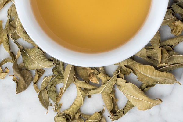 Lemon verbena tea – the recipe