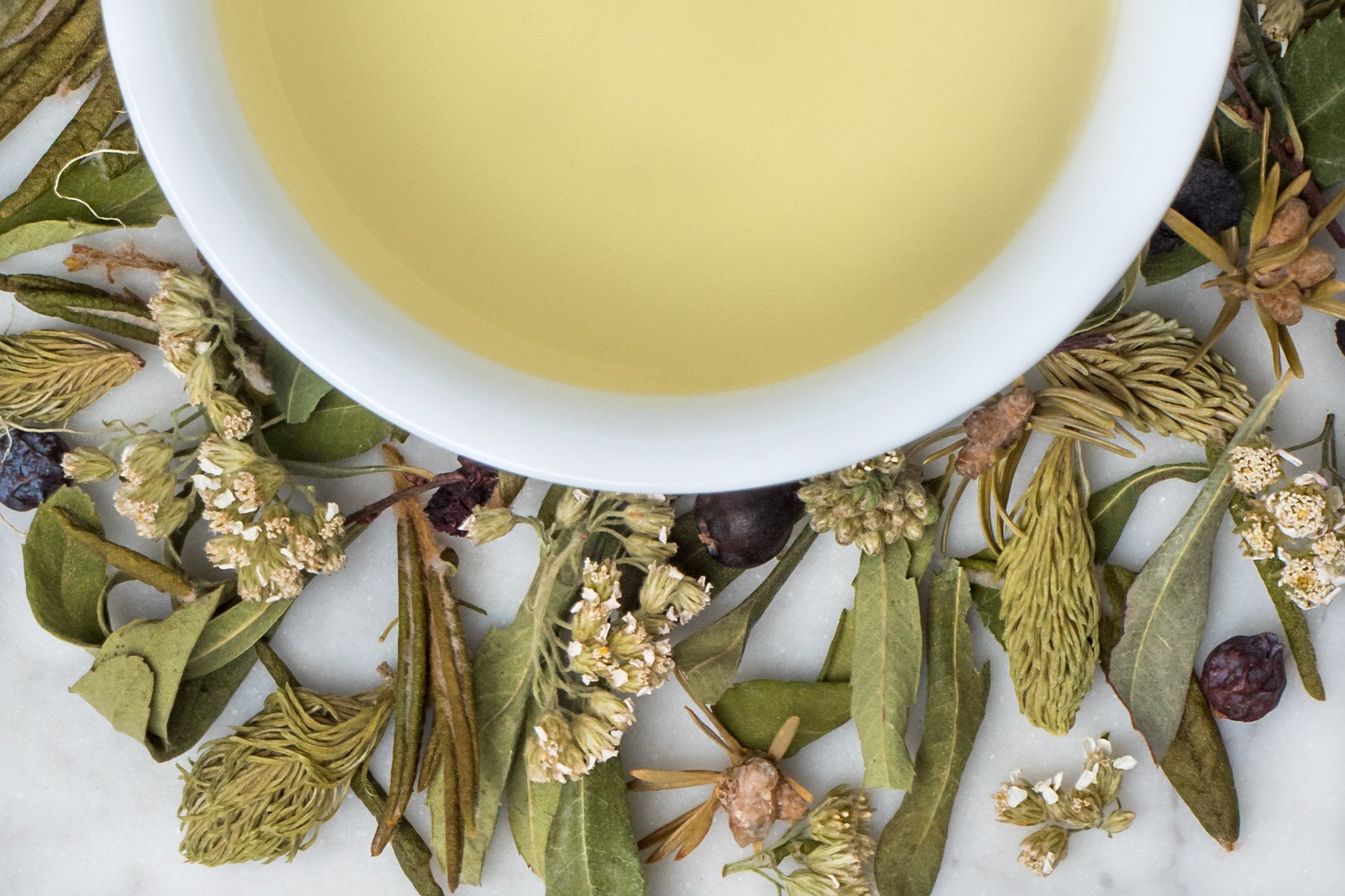 Wild Taiga pine tea leaves and brewed tea.  Fir shoots, berries, and labrador tea surround a cup of pale gold brewed herbal tea.