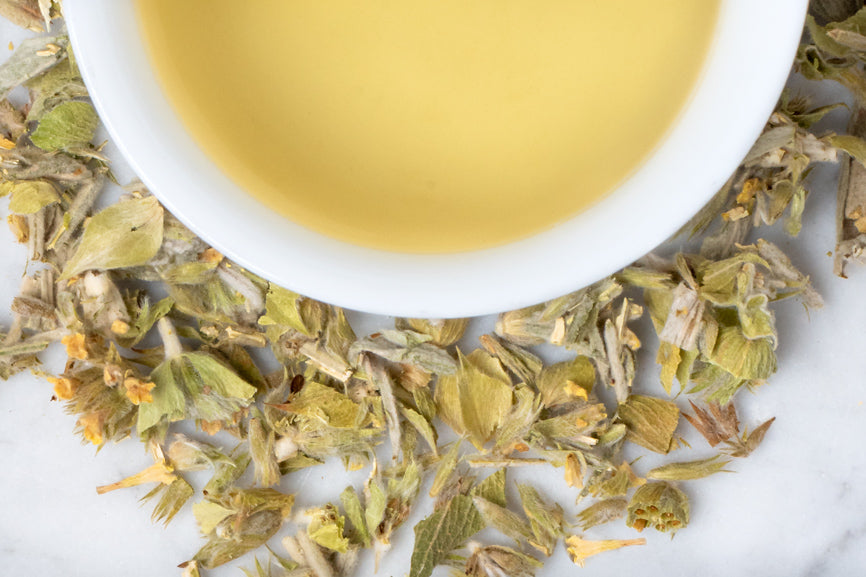 Greek Mountain Tea leaves and brewed tea. Downy green, yellow and brown leaves surround a brewed cup of light-gold tea.